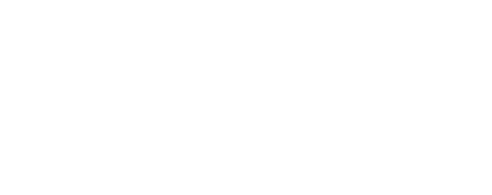 Logo_Bruce_Blanchard